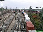 DSCN5684.JPG