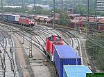 DSCN5686.JPG