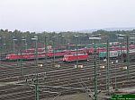 DSCN5692.JPG