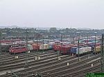 DSCN5694.JPG