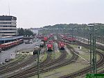 DSCN5696.JPG