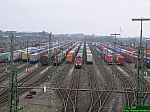 DSCN5699.JPG
