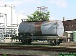 DSCN0398.JPG