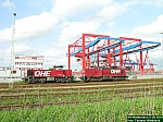 DSCN0431.JPG