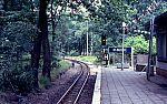 BPE_08.jpg