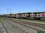 DSCN4746.JPG