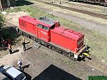 DSCN4763.JPG
