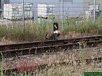 DSCN5274.JPG
