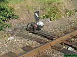 DSCN5280.JPG