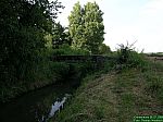 DSCN5290.JPG