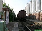 DSCN5296.JPG