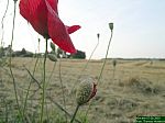 DSCN5309.jpg