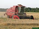 DSCN5313.JPG