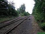 DSCN5377.JPG DSCN5377.JPG