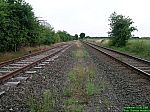 DSCN3520.JPG