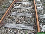 DSCN3521.JPG
