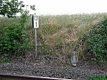 DSCN3530.JPG
