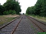 DSCN3550.JPG
