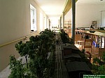 DSCN1696.JPG DSCN1696.JPG