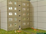 DSCN1729.JPG DSCN1729.JPG