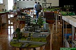 IMG_5021.JPG IMG_5021.JPG