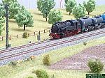 DSCF0115.JPG