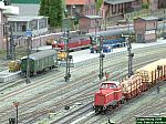 DSCF0169.JPG