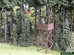 DSCF0197.JPG