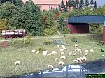 DSCF0212.JPG