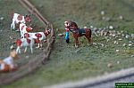 Bild_073.jpg