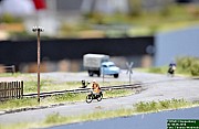 DSC_2217.jpg