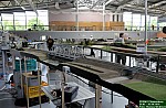 DSC_6733.jpg