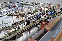 DSC_0908.jpg