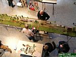 DSCN3137.JPG DSCN3137.JPG