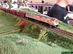 DSCN3033.JPG DSCN3033.JPG