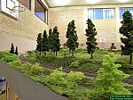 DSCN4372.JPG DSCN4372.JPG