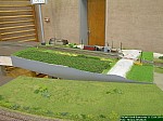 DSCN1238.JPG