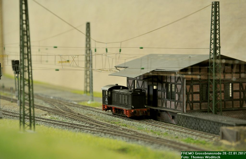 DSC_3083.jpg