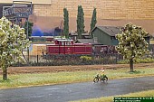 GrBrde-1806-2.jpg GrBrde-1806-2.jpg