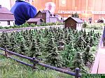 DSCN0157.JPG