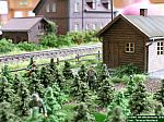 DSCN0160.JPG
