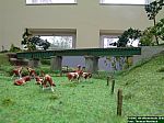 DSCN0183.JPG
