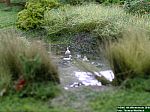 DSCN0185.JPG