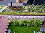 Hamburg2010_ALos33.jpg