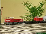DSCN2130.JPG DSCN2130.JPG