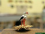 DSCN2142.JPG DSCN2142.JPG