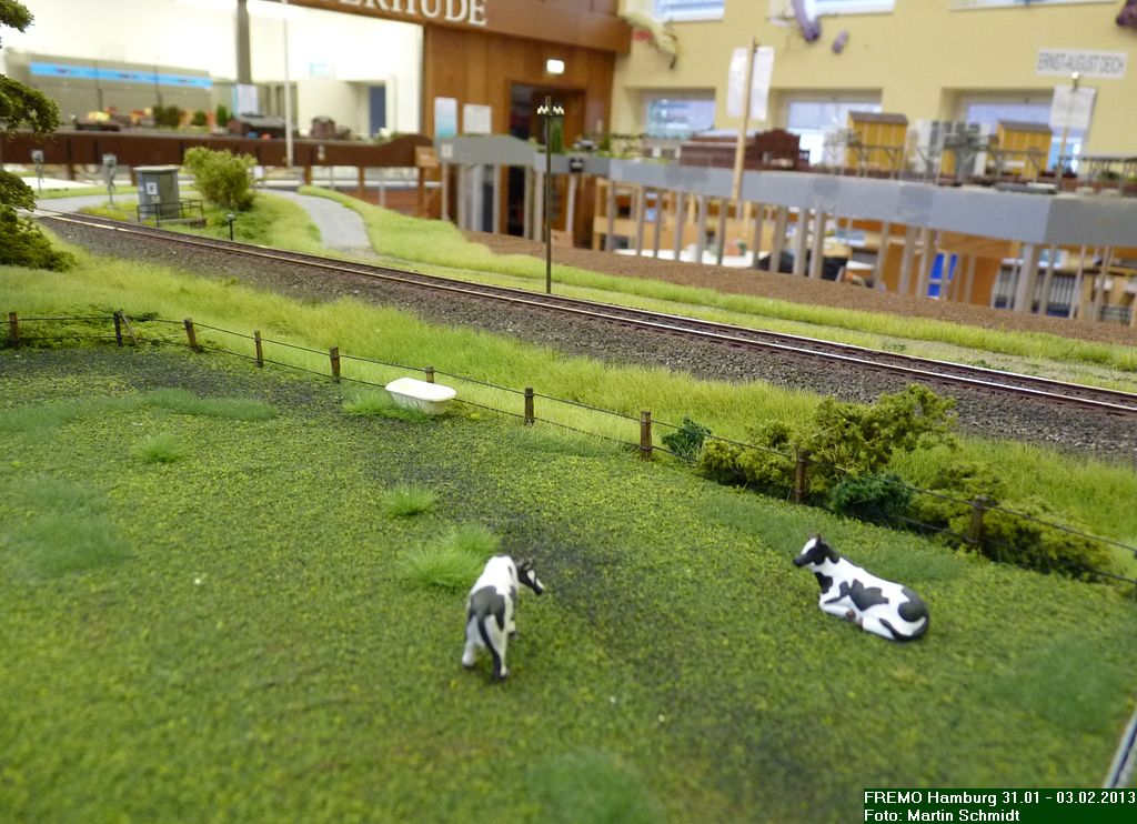 Meerweinstrasse2013-85.jpg