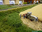 Meerweinstrasse2013-88.jpg Meerweinstrasse2013-88.jpg