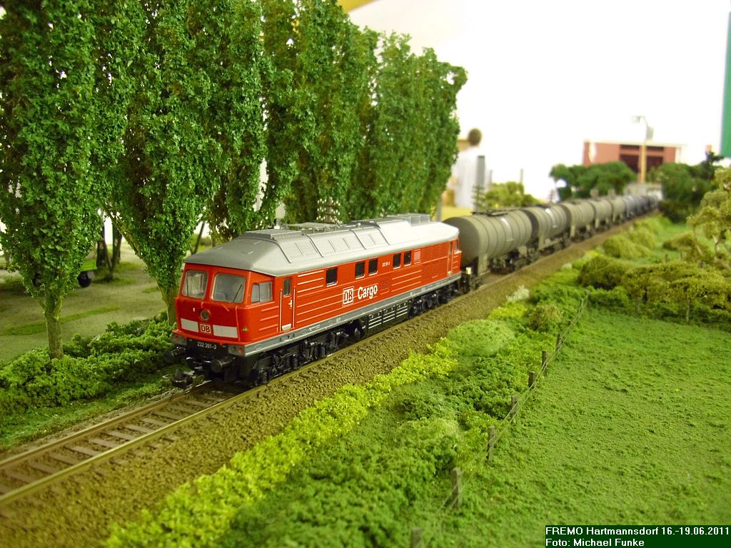 DSCI0685