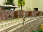 DSCN1346